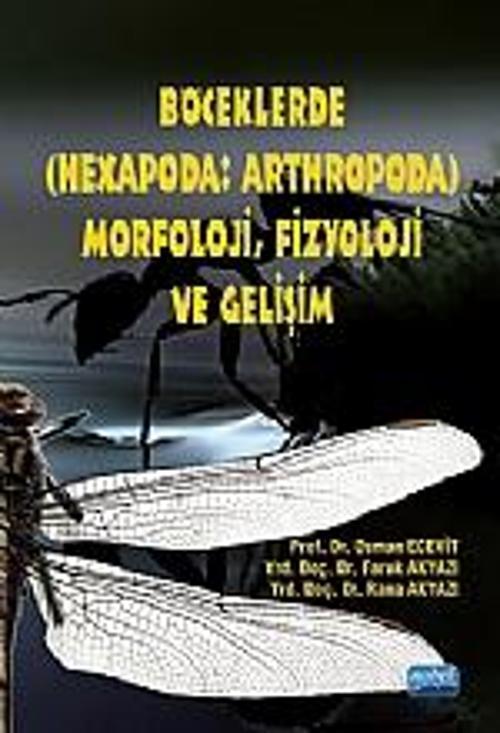 Böceklerde (Hexapoda: Arthropoda) Morfoloji, Fizyoloji ve Gelişim