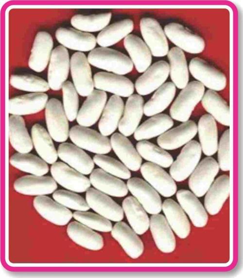 Ata Tohumu Yerli Doğal Oturak Dane Kuru Fasulye Horoz 50 Ad Tohum