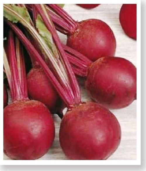 Ata Tohumu Yerli Doğal Kırmızı Pancar Tohumu 100 Adet Tohum