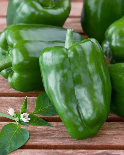 Ata Tohumu Yerli Yöresel Doğal Biber Acı Dolma Biberi 100 Ad Tohum