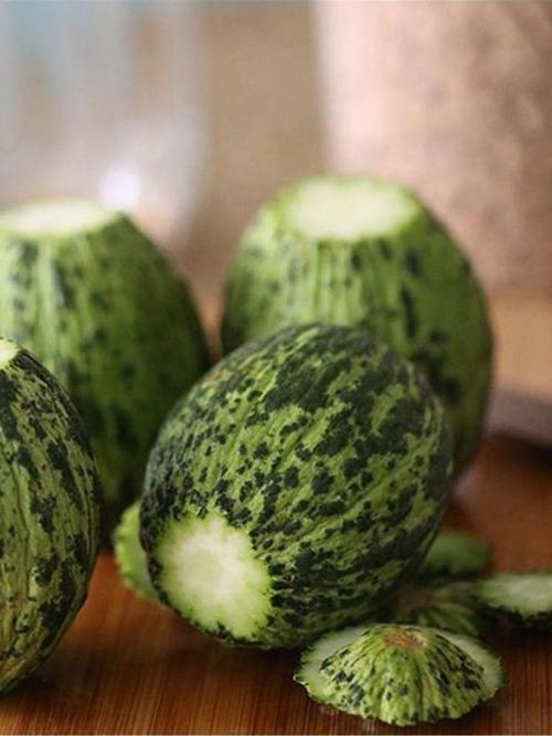 Ata Tohumu Yerli Doğal Turşuluk Kavun Kelek Hıdır 100 Ad. Sebze Tohumu