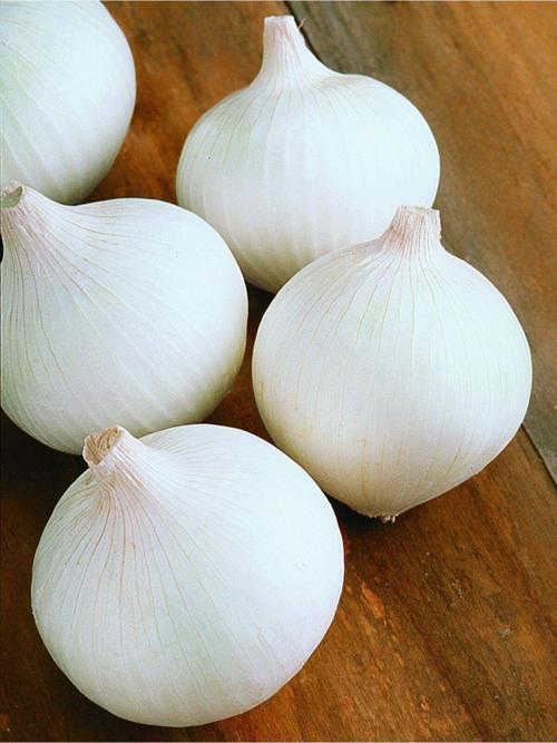 Doğal Tohum Yerli Beyaz Soğan Tohumu 100 Ad. Tohum
