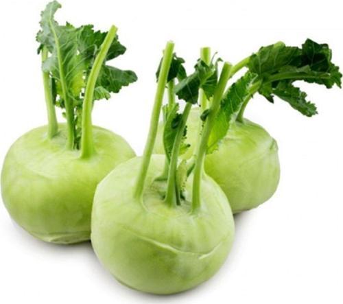 Yerli Doğal Kohlrabi Yer Lahanası Cehennem Topuzu Yeşil Alabaş Turpu 100 Adet Tohum