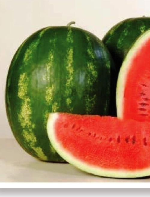 Ata Tohumu Doğal Diyarbakır Karpuzu Ala Karpuz 100 Adet Yerli Tohum