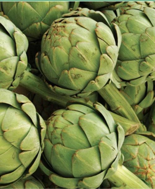 Ata Tohumu Yerli Doğal Saray Mutfağı Enginar 20 Adet Tohum