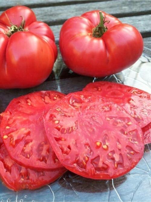 Ata Tohumu Yöresel Oturak Doğal Iri Nergele Domatesi 100 Adet Tohum