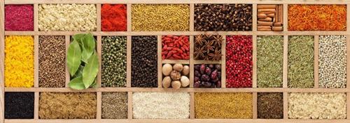 1000 Parça Panorama Baharat Cümbüşü Puzzle