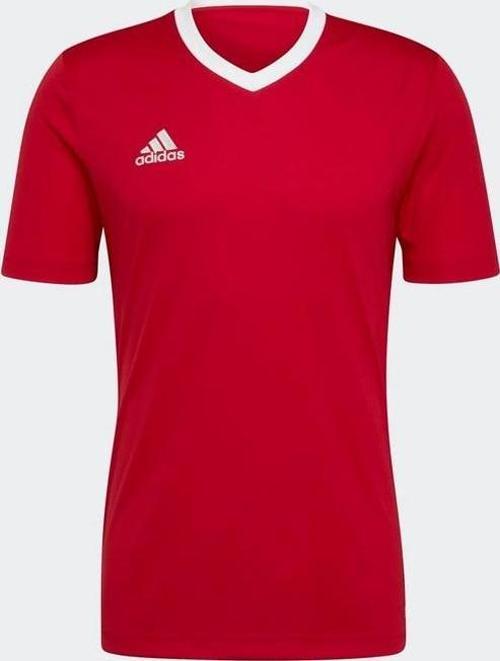 Entrada 22 Jersey Erkek Forma H61736