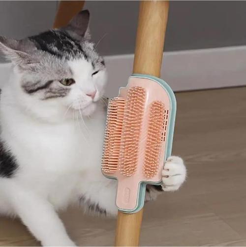 Kedi Boyun Kaşınma Fırçası Duvara Monte Köşe Kenar Tüy Toplayıcı Masaj Tarağı Oyuncak