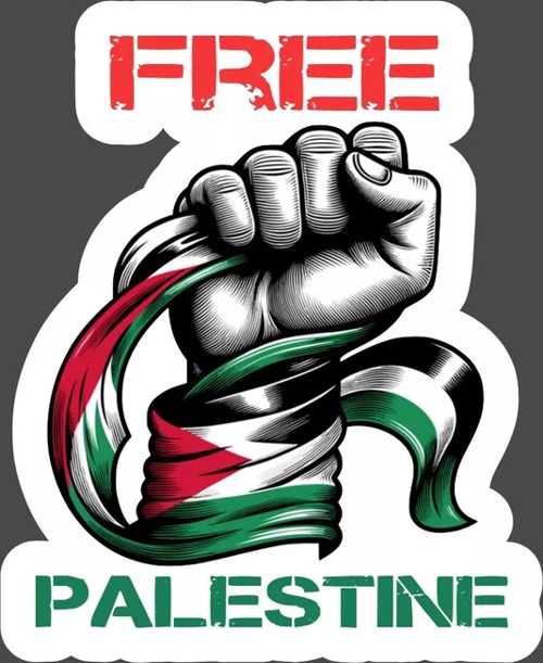 Free Palestine Araba oto Sticker 19 Cm