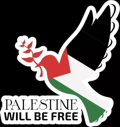 Free Palestine Sticker Decals Gaza Sticker Araba 19CM