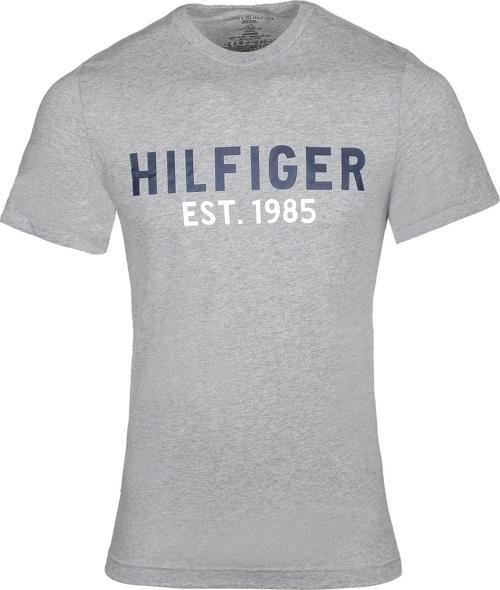 TOMMY HILFIGER ERKEK T-SHIRT 09T4096-004