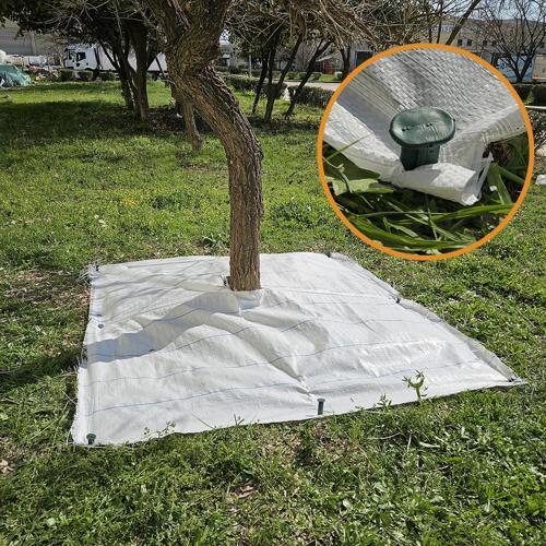 5x5 METRE AĞAÇ KORUMA ÖRTÜSÜ VE SABİTLEME ÇİVİSİ BEYAZ YER ÖRTÜSÜ YABANİ OT ENGELLEME PASPASI AĞAÇ DİBİ BEZİ SULZER KUMA