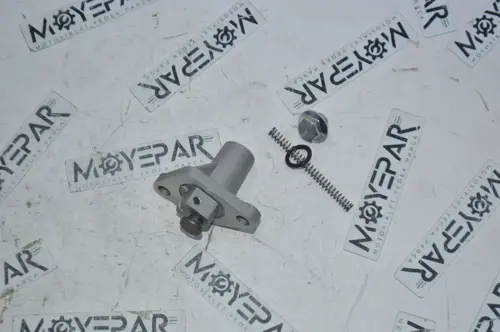 RSV 065 MONDİAL RESSİVO RKS VIESTE 249 EKSANTRİK ZİNCİR GERGİSİ (MSR)