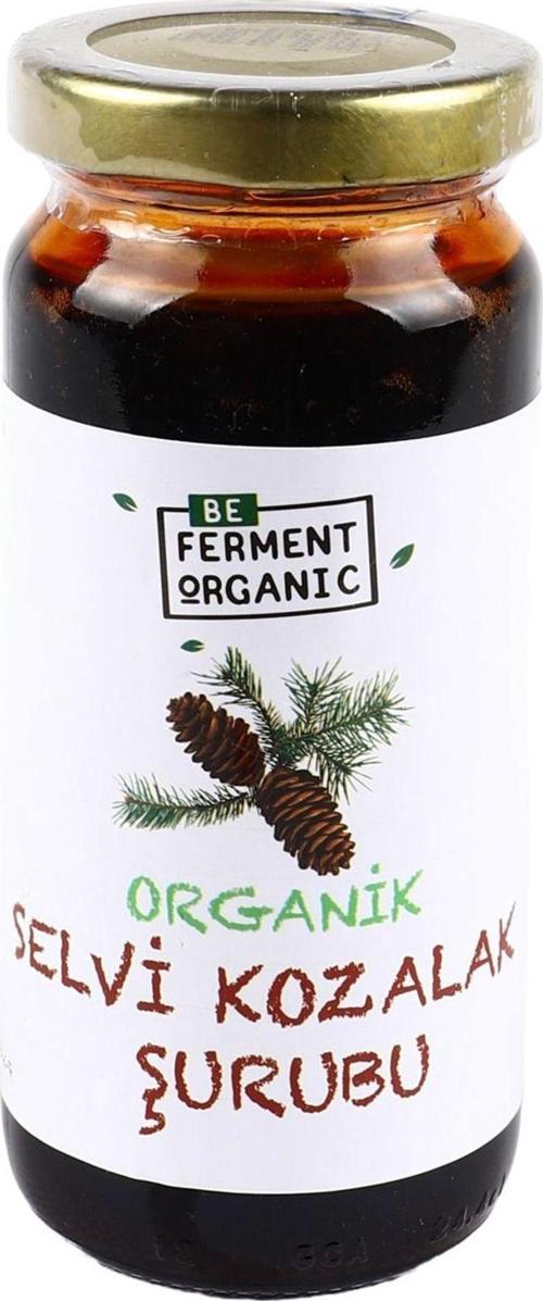 Organik Çam Kozalağı Şurubu 280 G