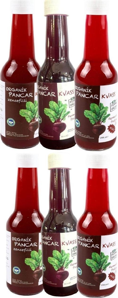 Organik Kvass 6 Adet -Sade*2- Zencefilli*2- Acılı*2