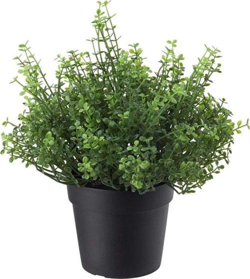 Fejka Arapsaçı Çiçeği 9 Cm 00532777