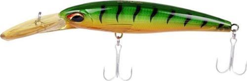 X-Rap Magnum 200mm 147gr Gtg01