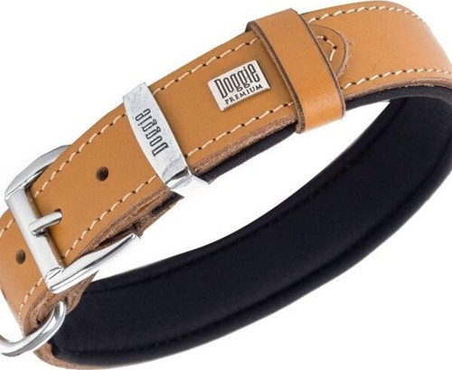 Comfort Deri Nazar Boncuklu Köpek Boyun Tasması Medium Camel 3x42-50 Cm - Petshopundan