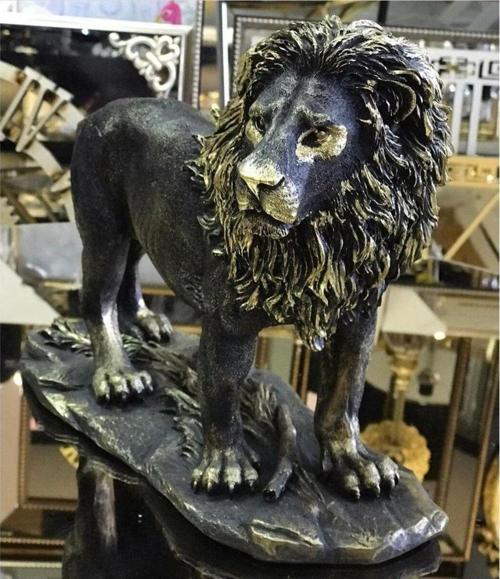 Aslan Biblo Hf248-3
