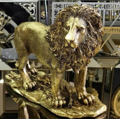 Aslan Biblo Hf248-4