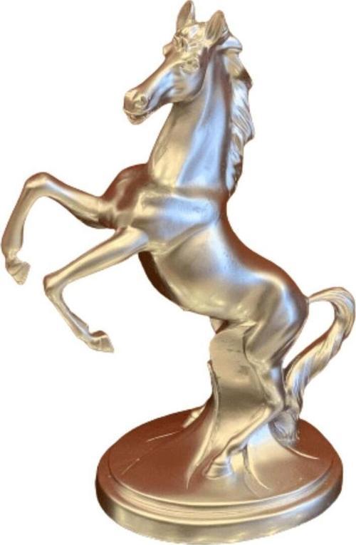 Kaideli Şahlanan At Hf373-1