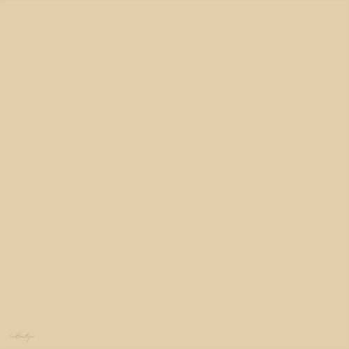 Düz Renk Sura İpek - 32 - 90x90