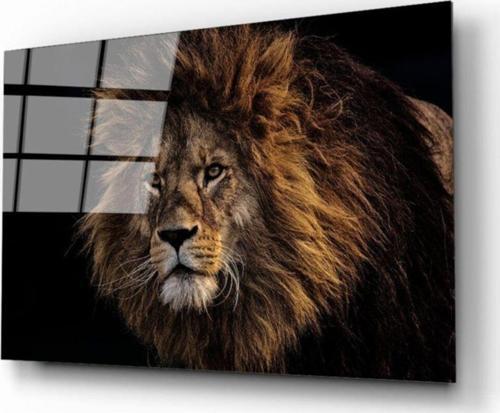 Aslan 9 Cam Tablo