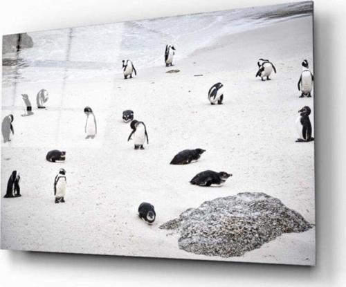 Penguen Cam Tablo