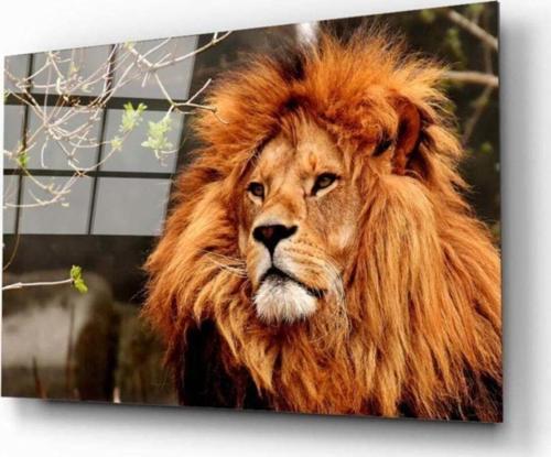 Aslan 3 Cam Tablo