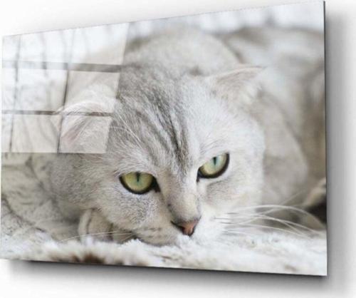 Kedi Cam Tablo