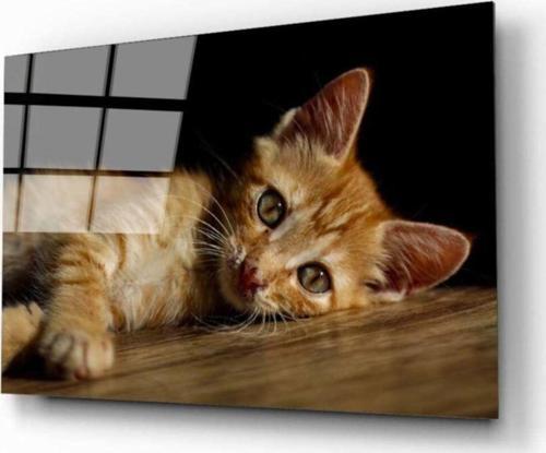 Kedi 4 Cam Tablo