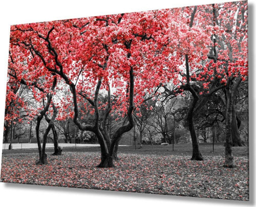 Kırmızı Ağaçlar Doğa Cam Tablo, Ev Ve Ofis Duvar Dekoru, Hediyelik Büyük Temperli 4 Mm Cam Tablo