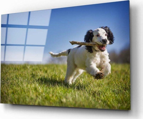 Köpek 3 Cam Tablo