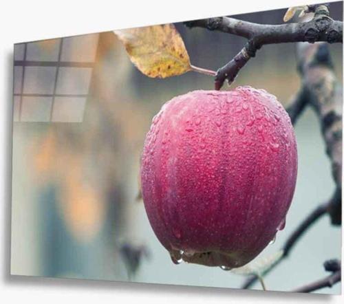 Meyveler Cam Tablo 4Mm Dayanıklı Temperli Cam