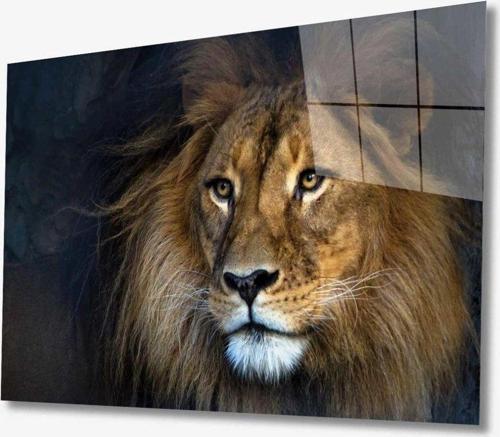 Aslan Hayvan Cam Tablo 4Mm Dayanıklı Temperli Cam