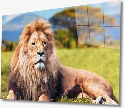 Aslan Hayvan Cam Tablo 4Mm Dayanıklı Temperli Cam