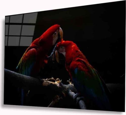 Papağan Cam Tablo 4Mm Dayanıklı Temperli Cam