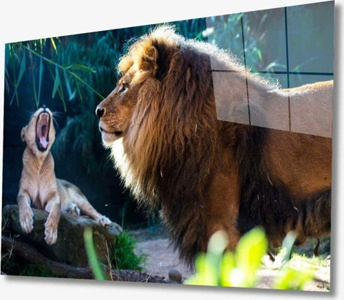 Aslan Hayvan Cam Tablo 4Mm Dayanıklı Temperli Cam
