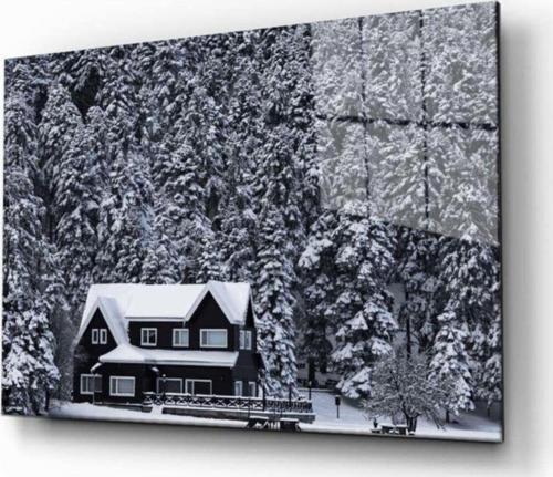 Doğa Manzara Cam Tablo 4Mm Dayanıklı Temperli Cam