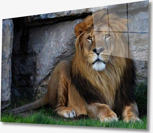 Aslan Hayvan Cam Tablo 4Mm Dayanıklı Temperli Cam