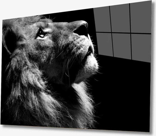 Aslan Hayvan Cam Tablo 4Mm Dayanıklı Temperli Cam