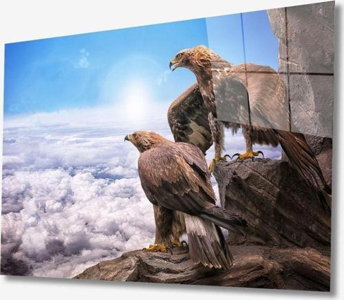 Kartal Hayvan Cam Tablo 4Mm Dayanıklı Temperli Cam