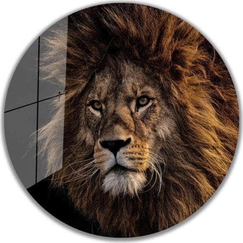 Aslan Yuvarlak Cam Tablo 4Mm Dayanıklı Temperli Cam