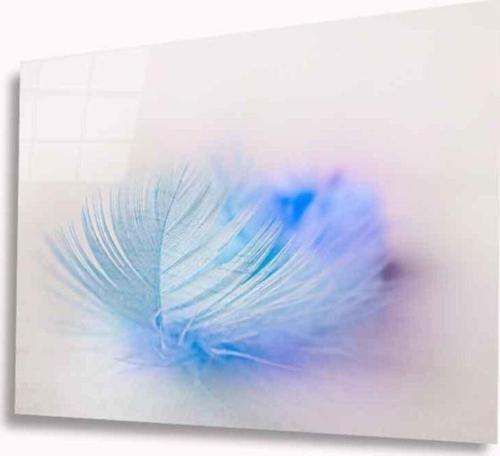 Tüy Cam Tablo 4Mm Dayanıklı Temperli Cam