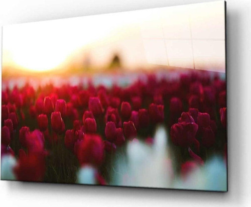 Doğa Manzara Cam Tablo 4Mm Dayanıklı Temperli Cam