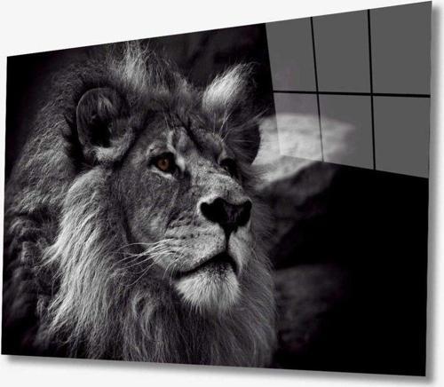 Aslan Hayvan Cam Tablo 4Mm Dayanıklı Temperli Cam