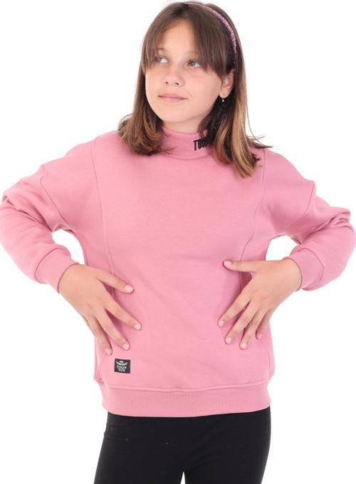 Toontoy Kız Çocuk Nakışlı Sweatshirt