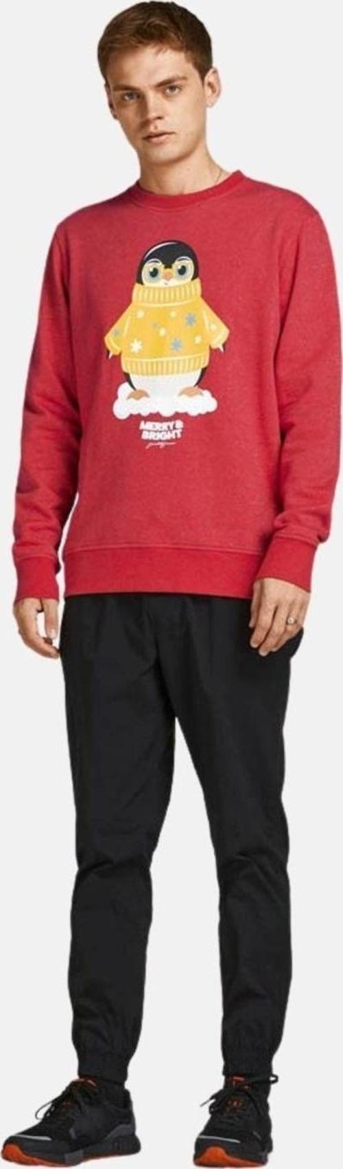 ERKEK SWEATSHIRT 12198379-SAGE