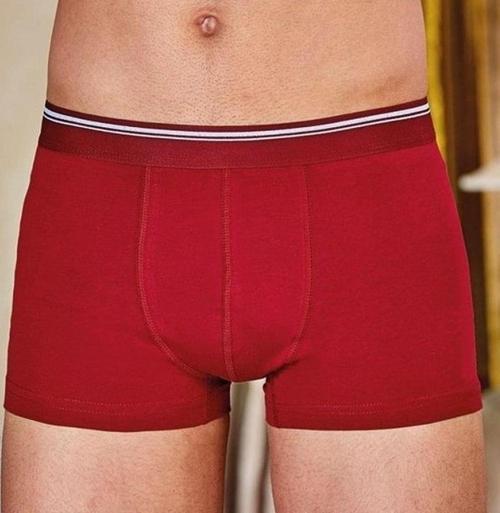1097 Erkek Likralı Esnek Boxer 3'Lü 1416